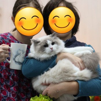 Salon du Chat de Chartres (Eure-et-Loir) - Septembre 2023